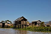 Inle Lake Myanmar. All the buildings are constructed on piles. Residents travel around by canoe, but there are also bamboo walkways and bridges over the canals, monasteries and stupas. 